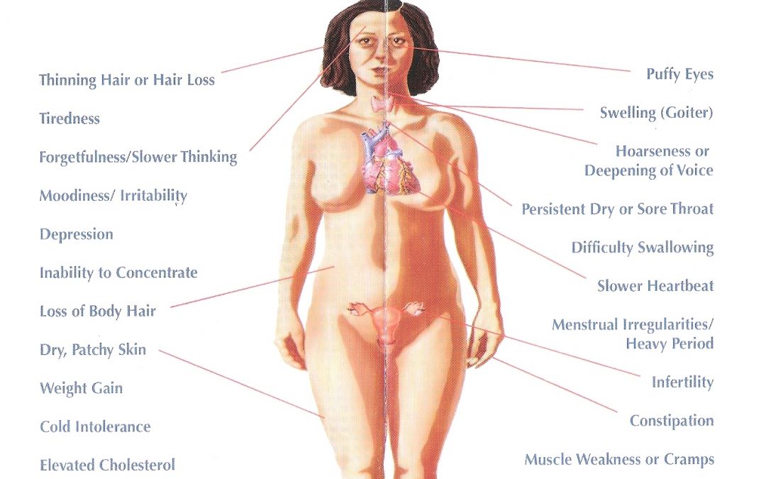 Hormone Imbalance – Part 3: The Hypothyroid – Low-Carb Connection
