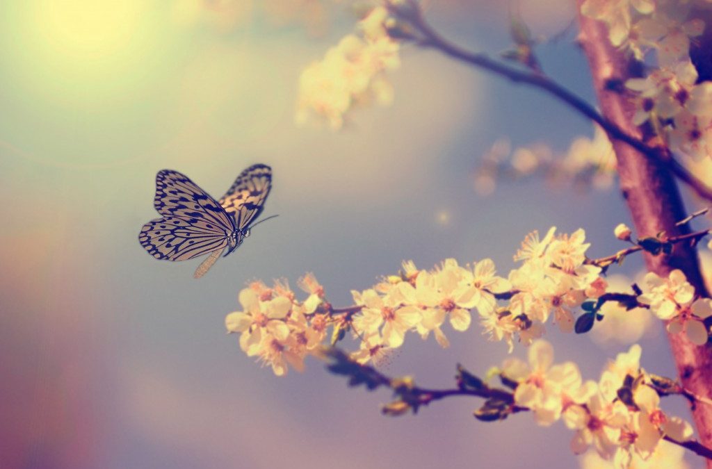 Transformation Means Letting Go of the Old