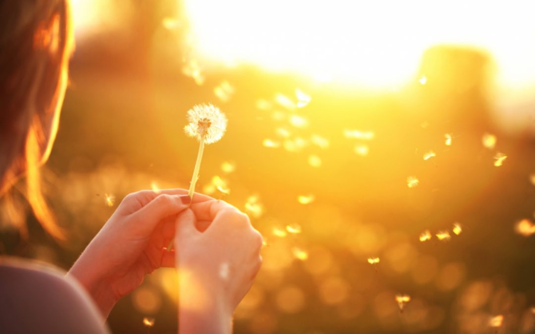 Simplify Your Life