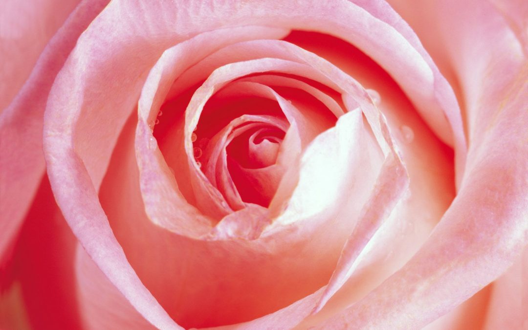 Let Anger Go so Love May Flow
