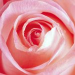 Let anger go so Love may flow